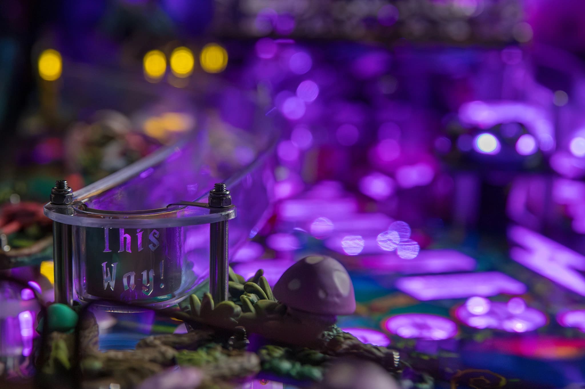 Alice's Adventures in Wonderland - photo 7