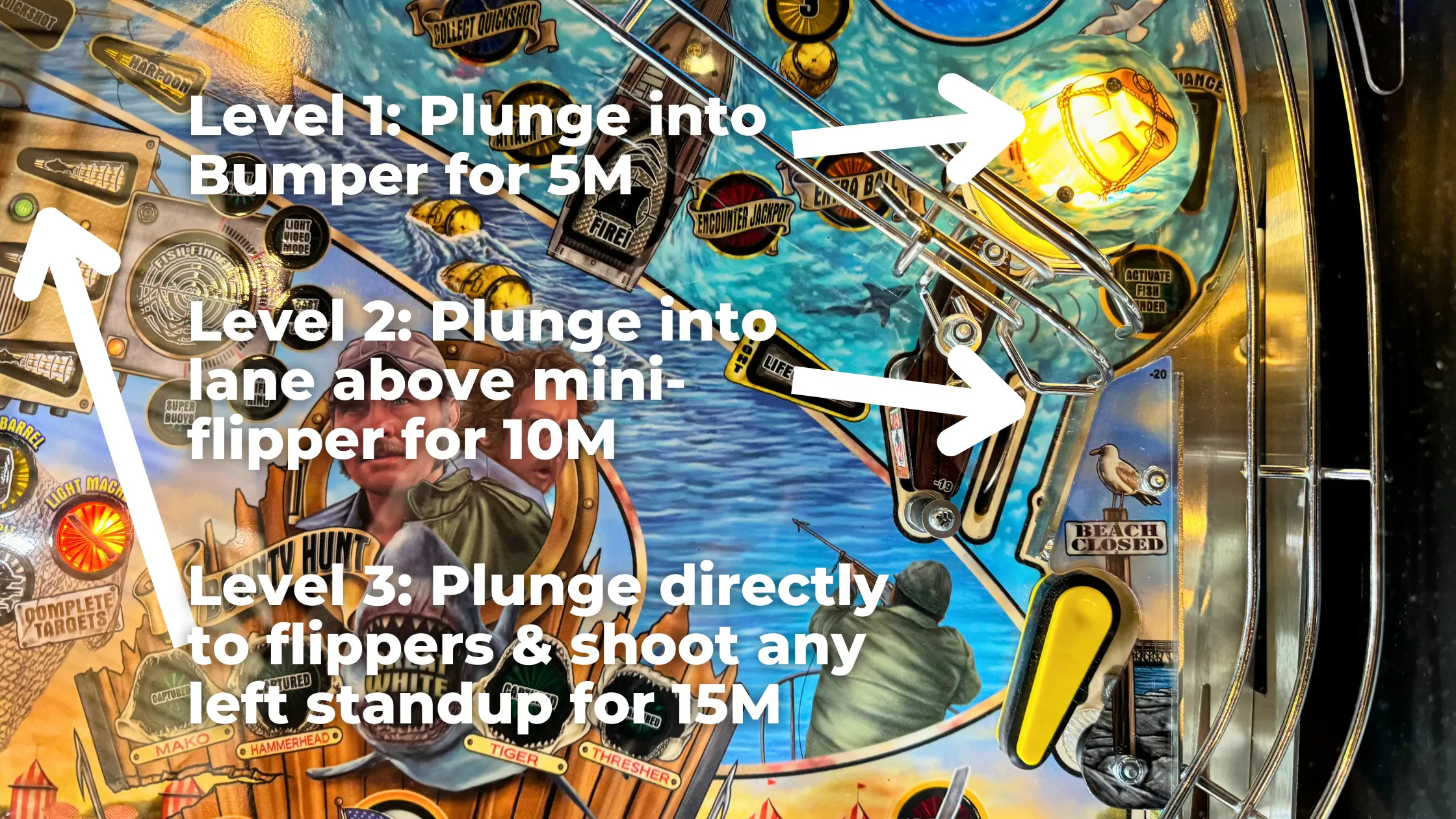 Pinball machine game screen showing scoring levels and gameplay instructions