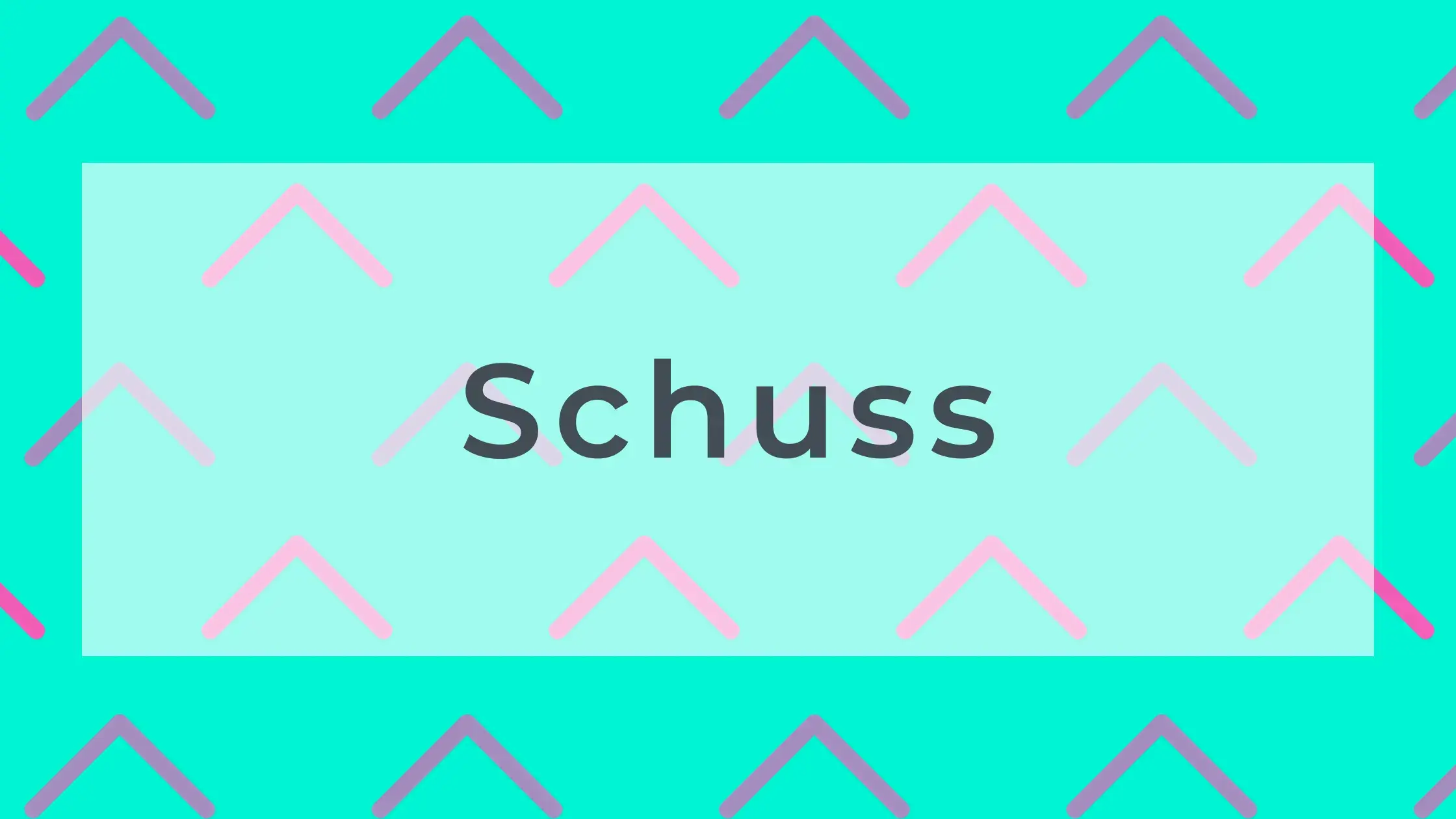 Schuss