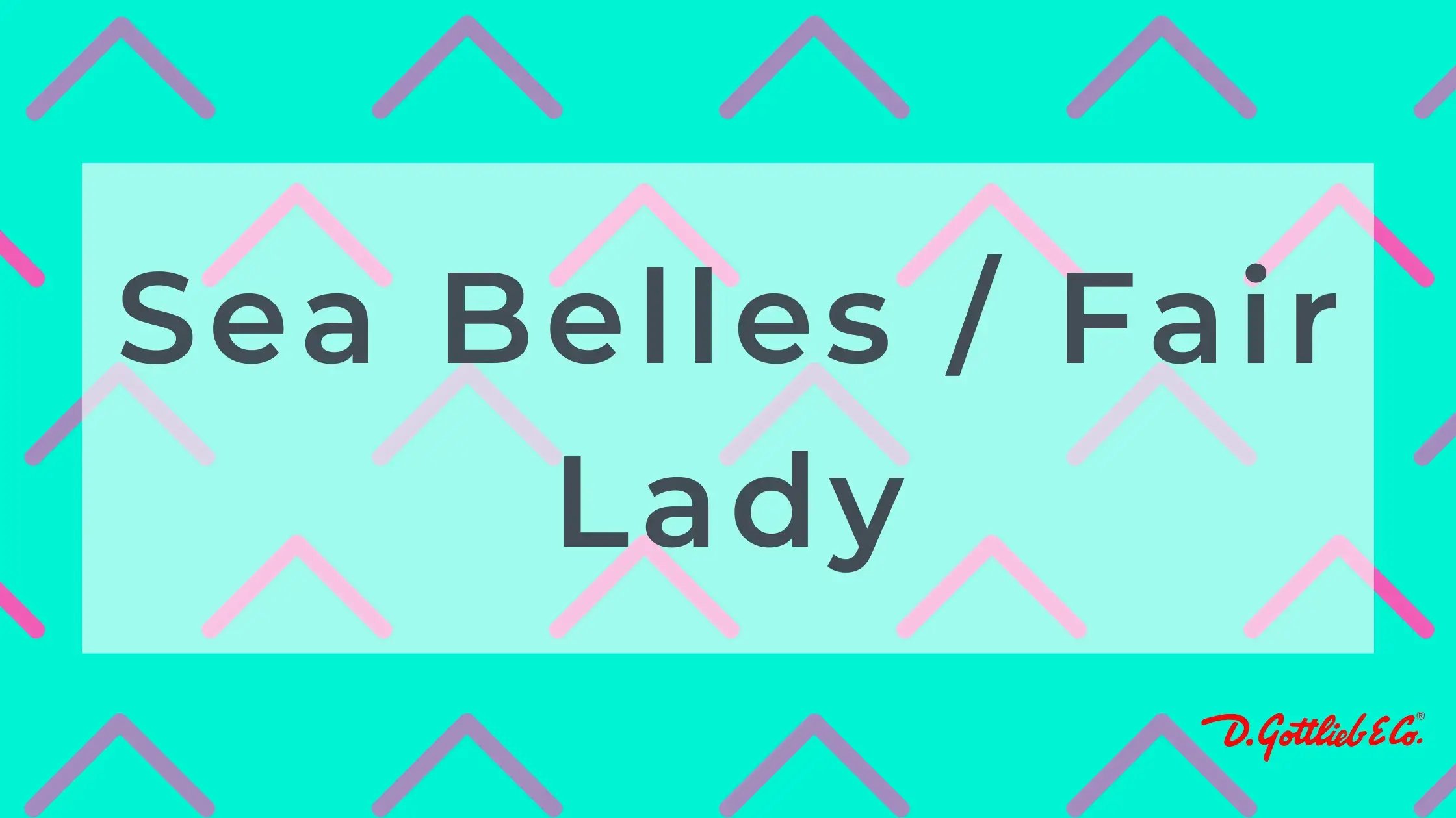 Sea Belles / Fair Lady