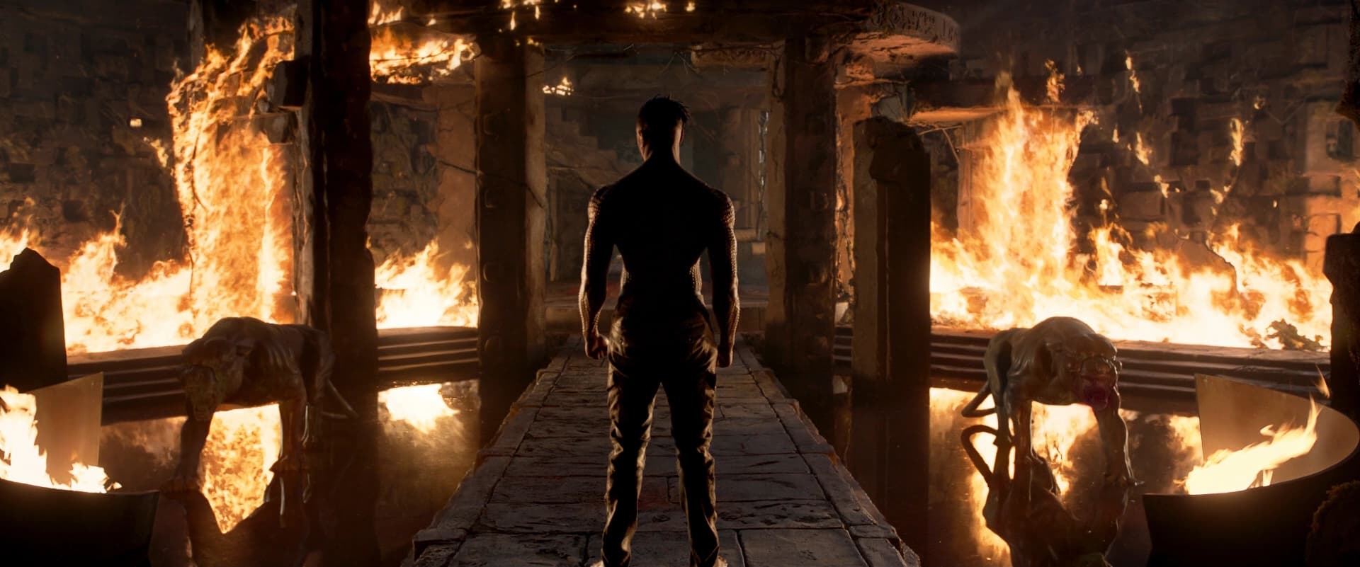 Black Panther gallery 3