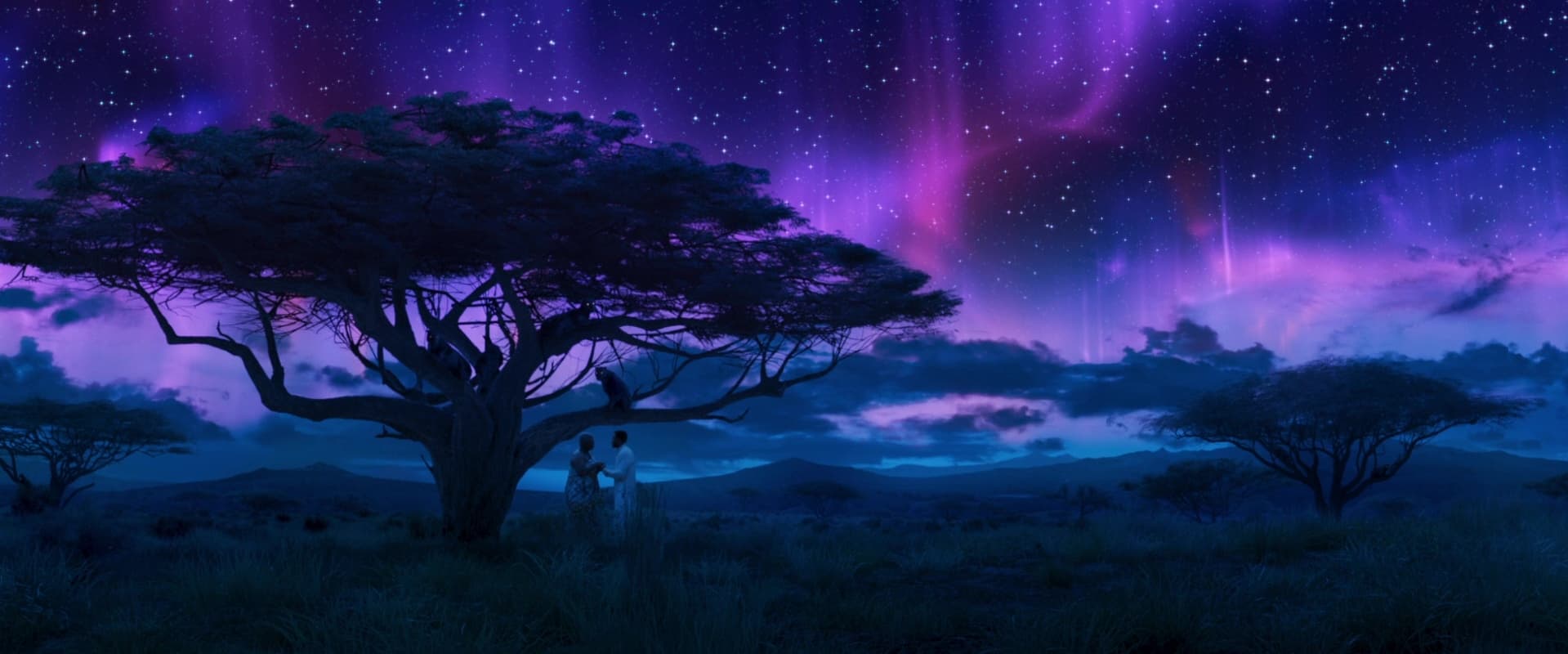 Black Panther gallery 5