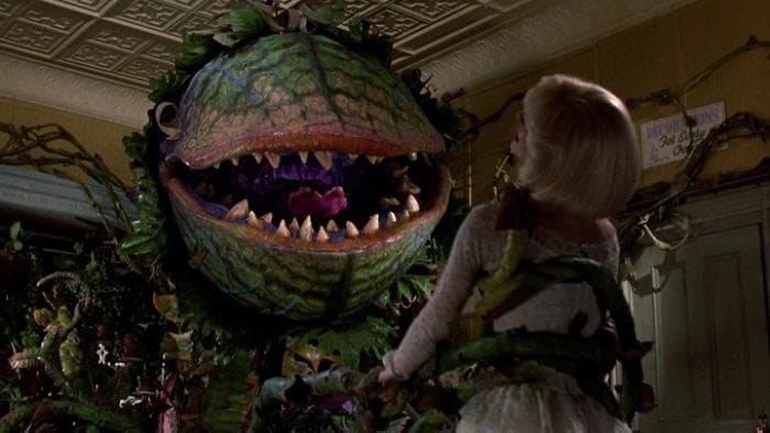 Little Shop of Horrors gallery 2