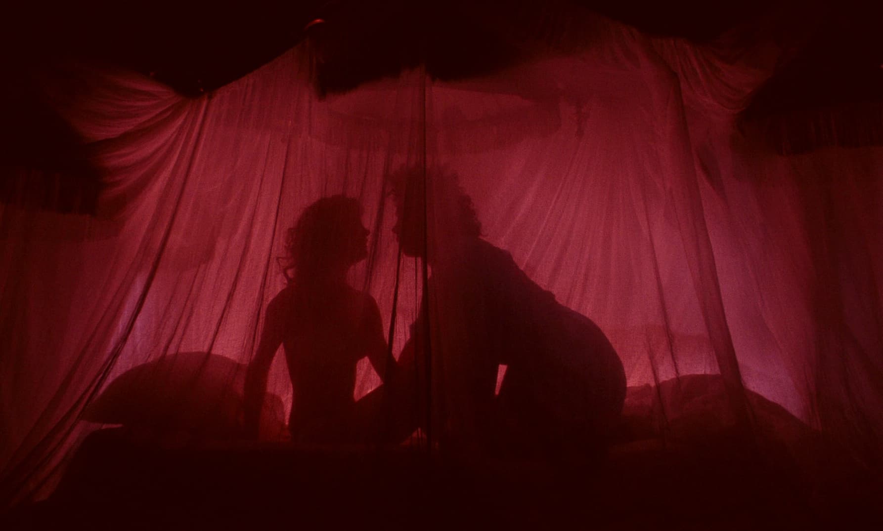 Rocky Horror Picture Show gallery