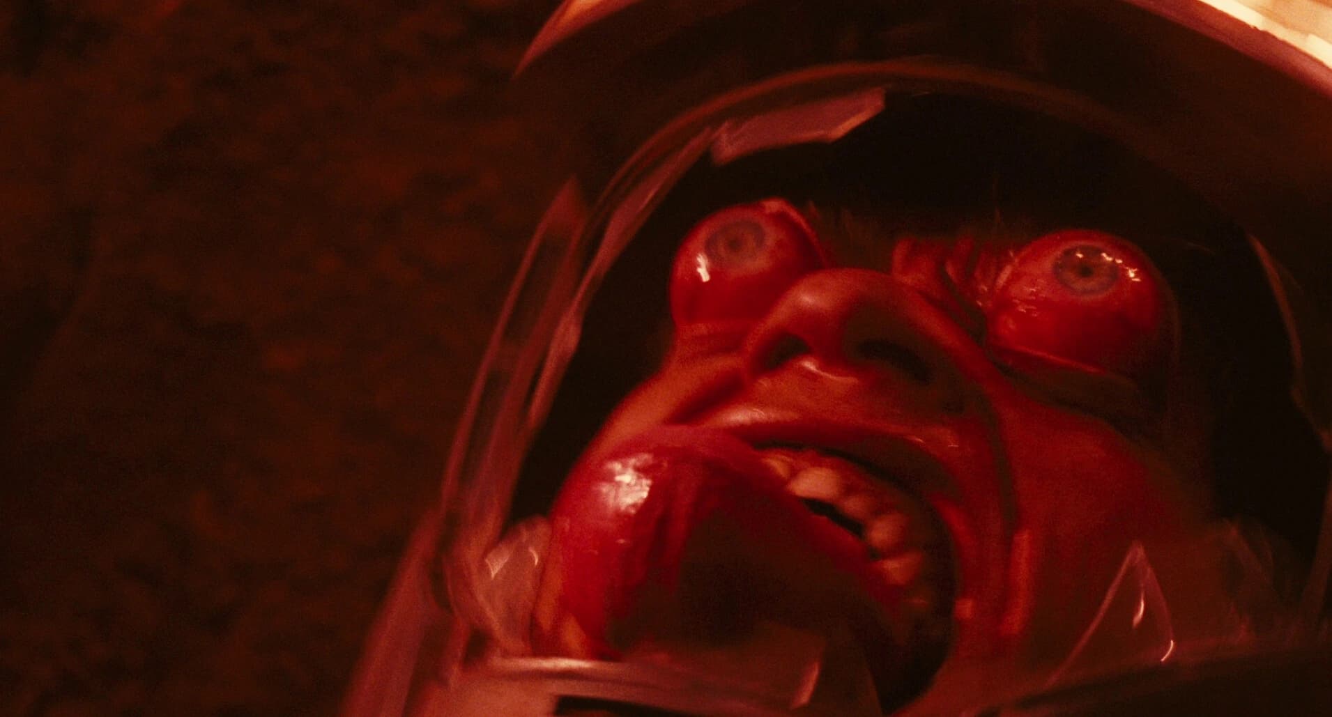 Total Recall gallery 2