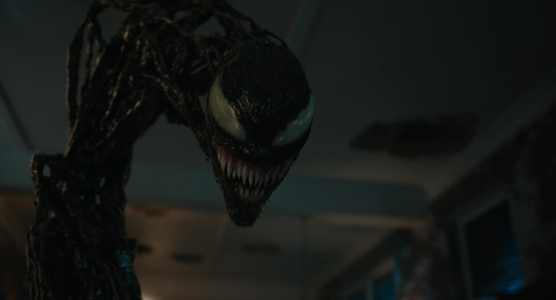Venom gallery