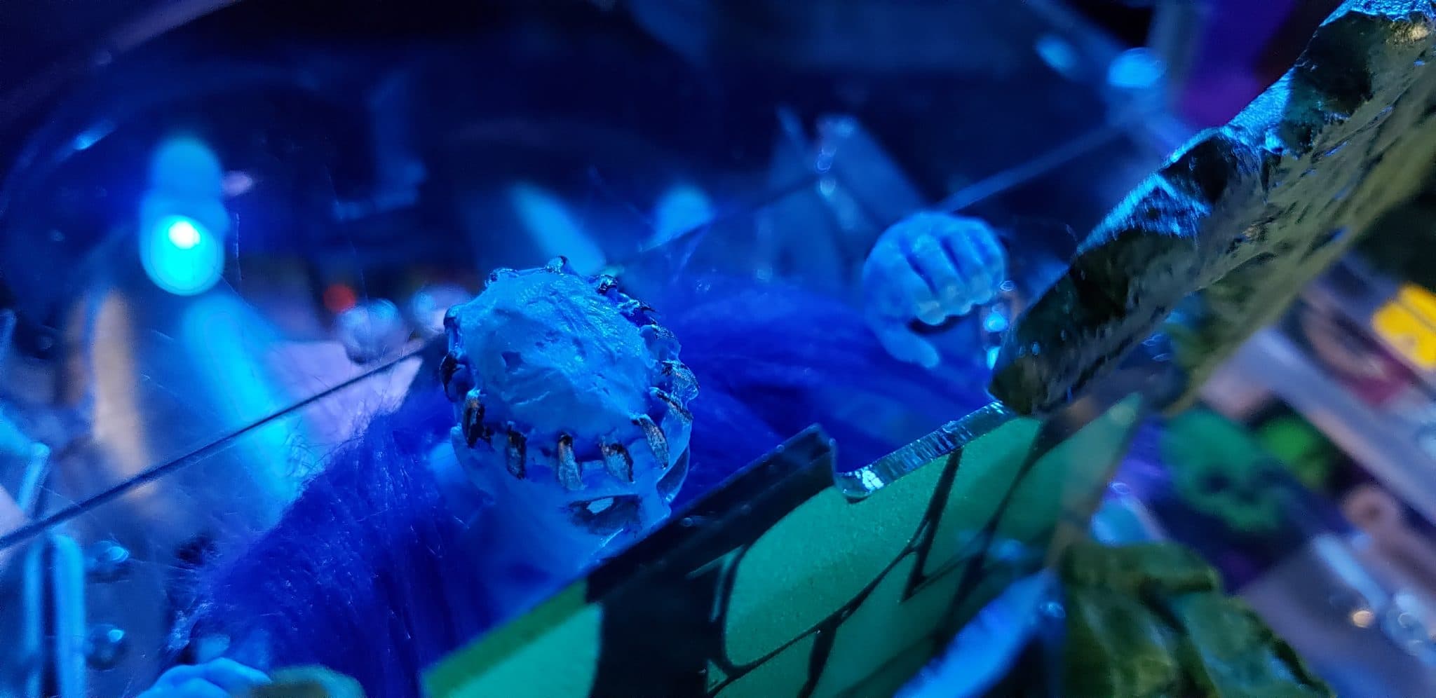 Dinosaur skull model illuminated by blue and green stage lighting