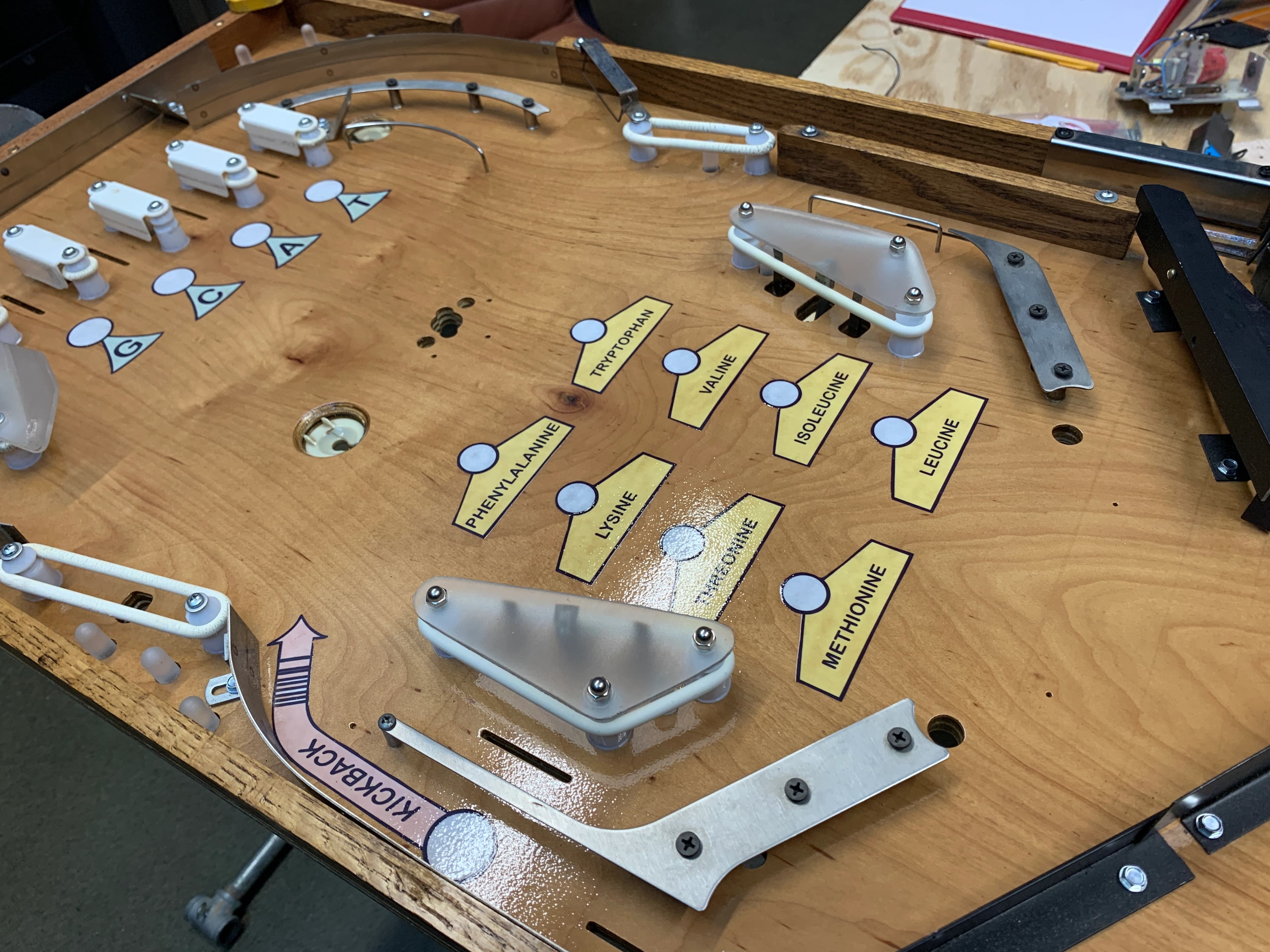 Wooden board with labeled amino acids and scientific mechanism components