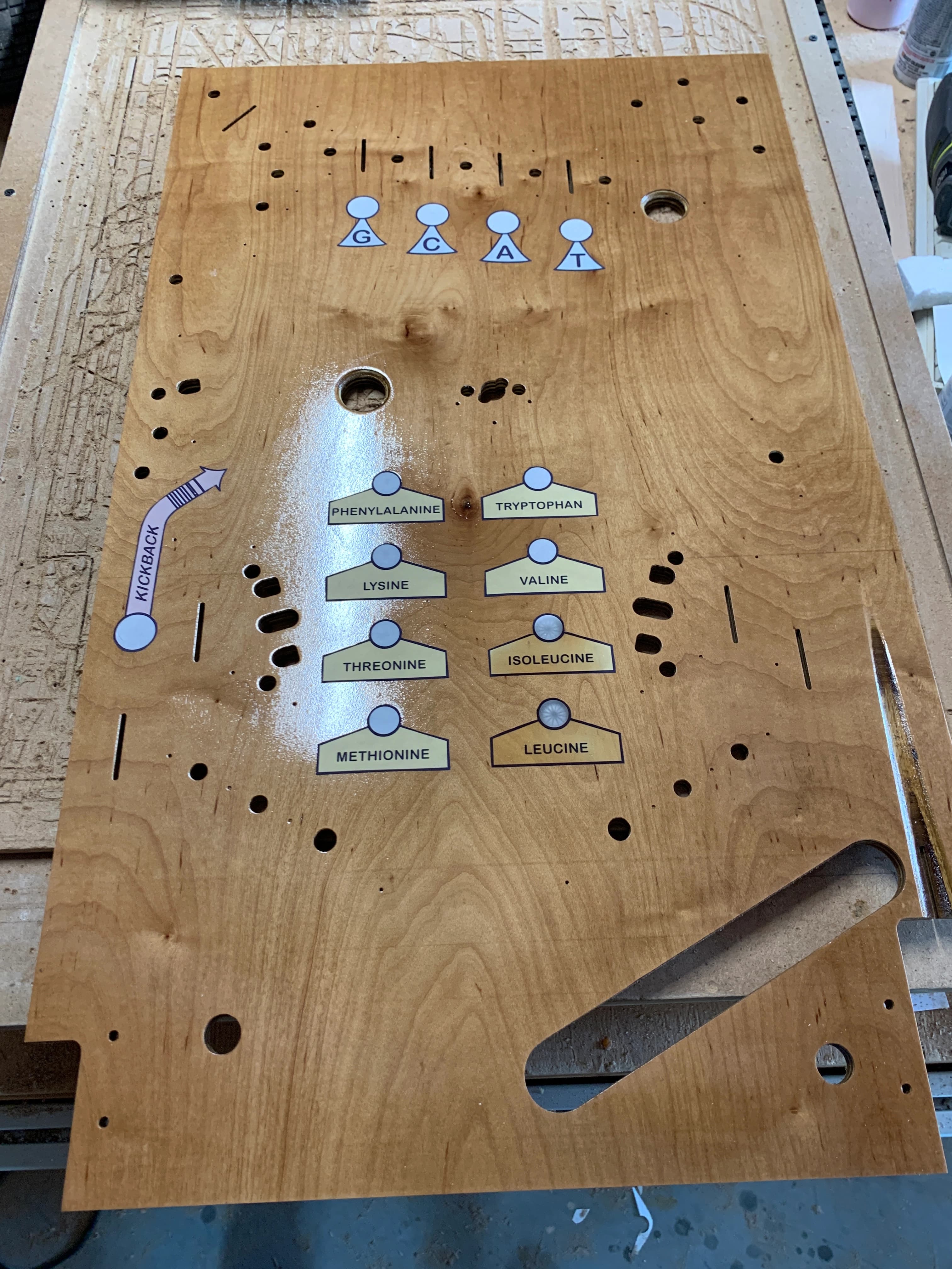 Wooden board with amino acid names and GCAT letters