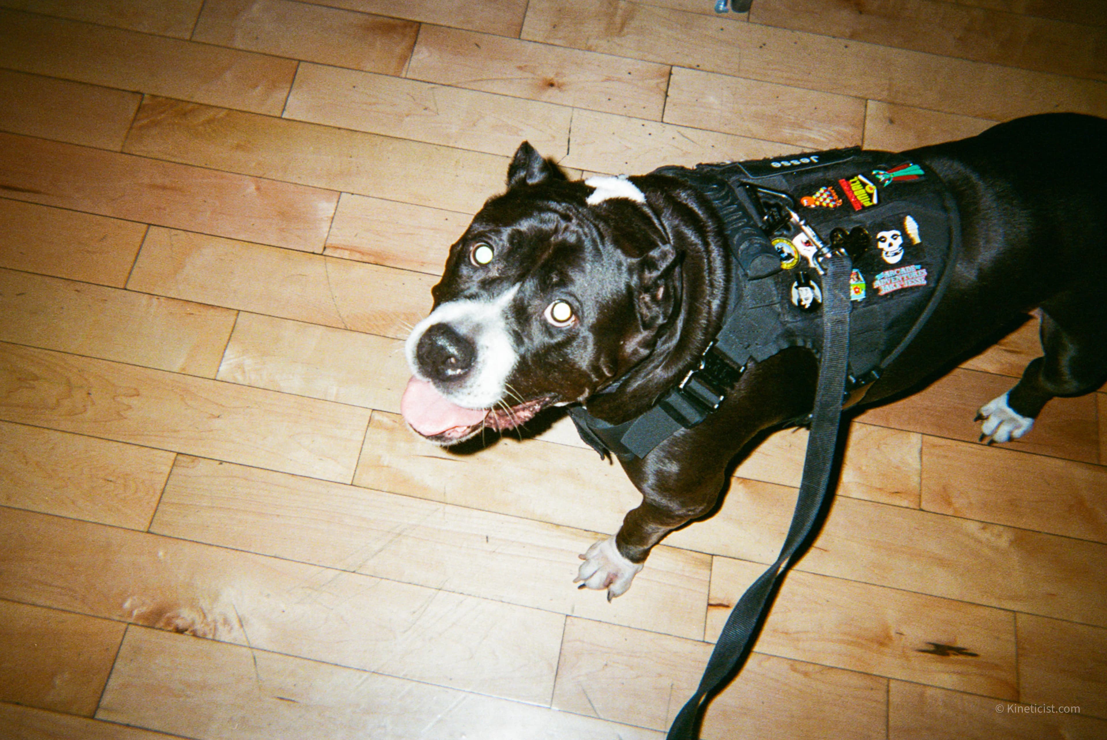 __wf_reserved_inherit