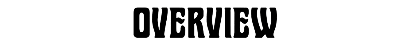 Bold black text spelling out the word "OVERVIEW" on white background