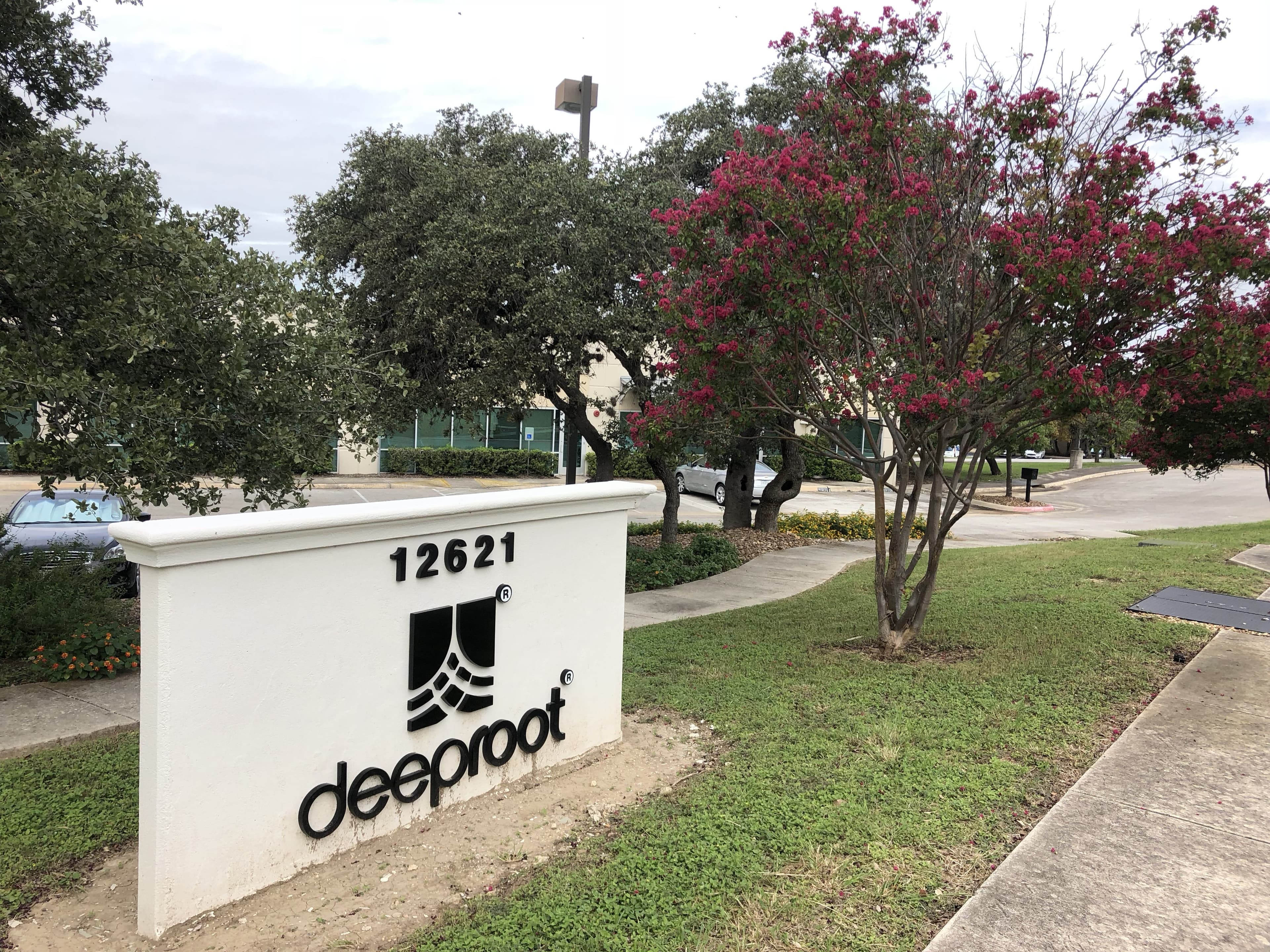 Deeproot company sign with pink flowering trees and landscaped entrance