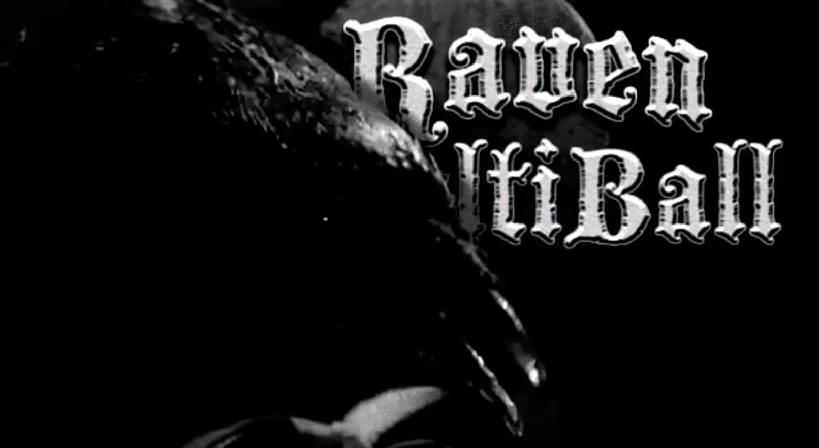 Raven VirBall logo in stylized black and white typography