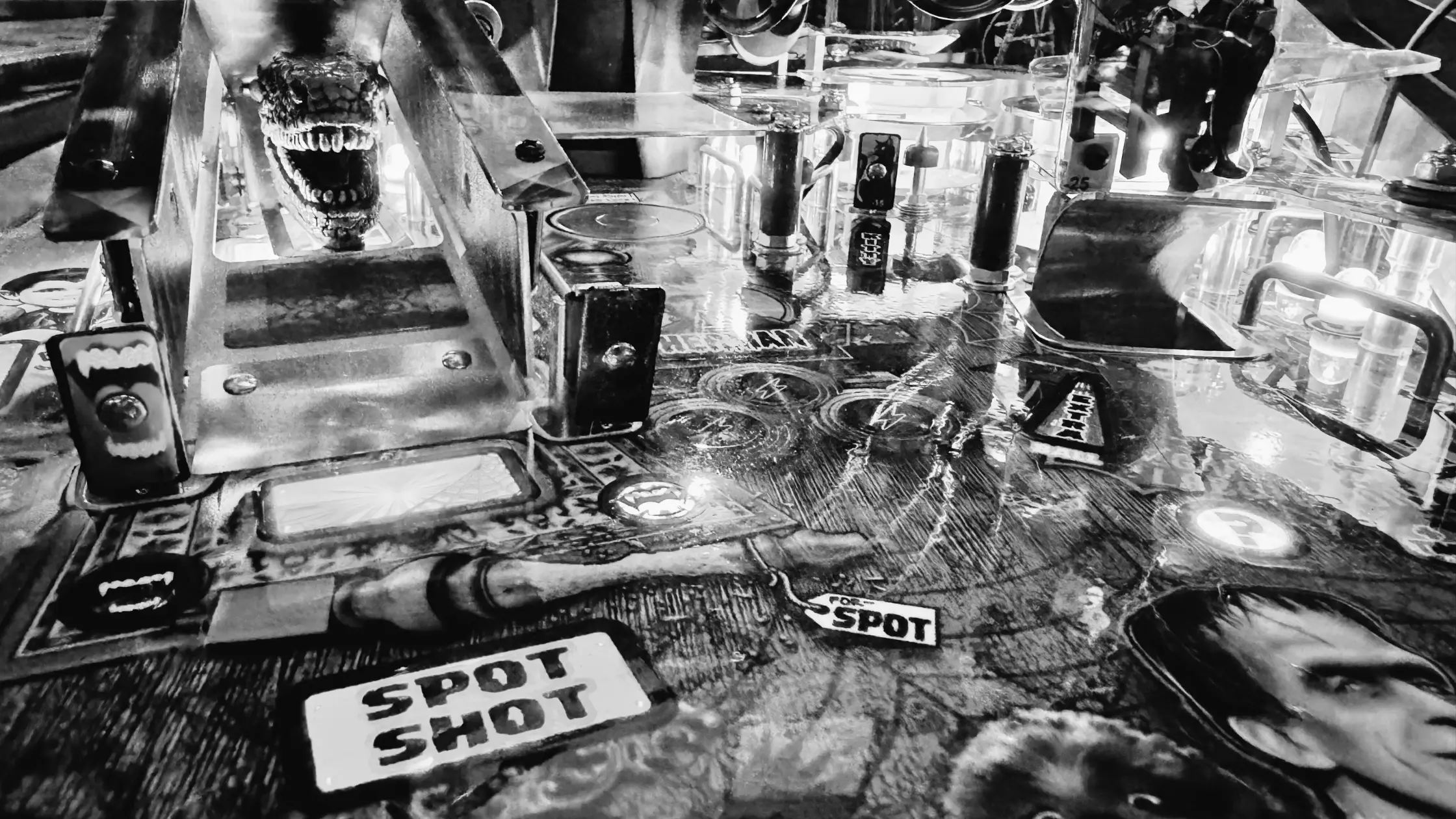 spot munsters pinball